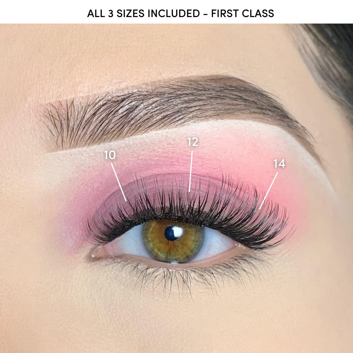 First Class Multi-Pack - Old Packaging